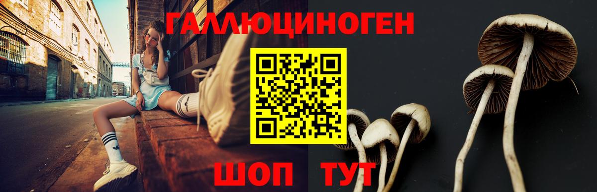 Галлюциногенные грибы Cubensis  Вход с VPN  Алейск 